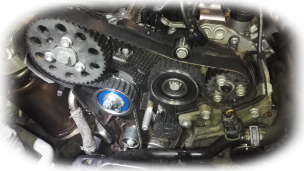 Rozvody motora VW 2.0 TDI